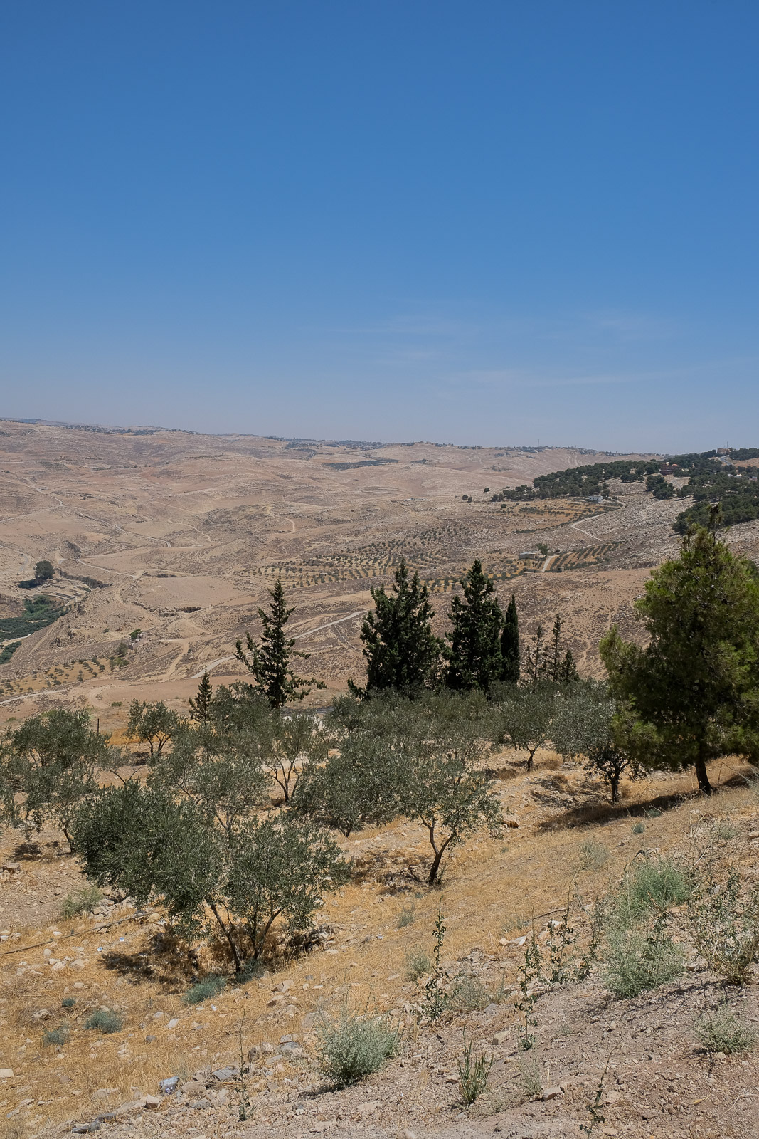 View from Mount Nebo=