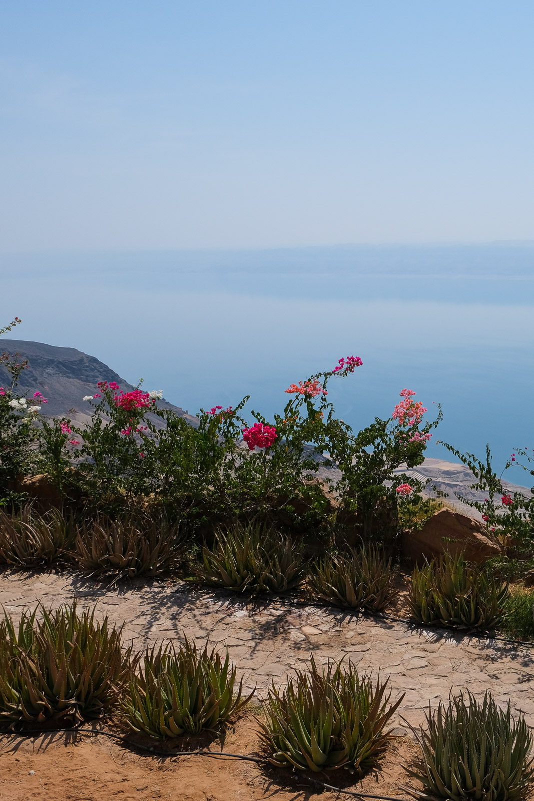 Dead Sea Museum