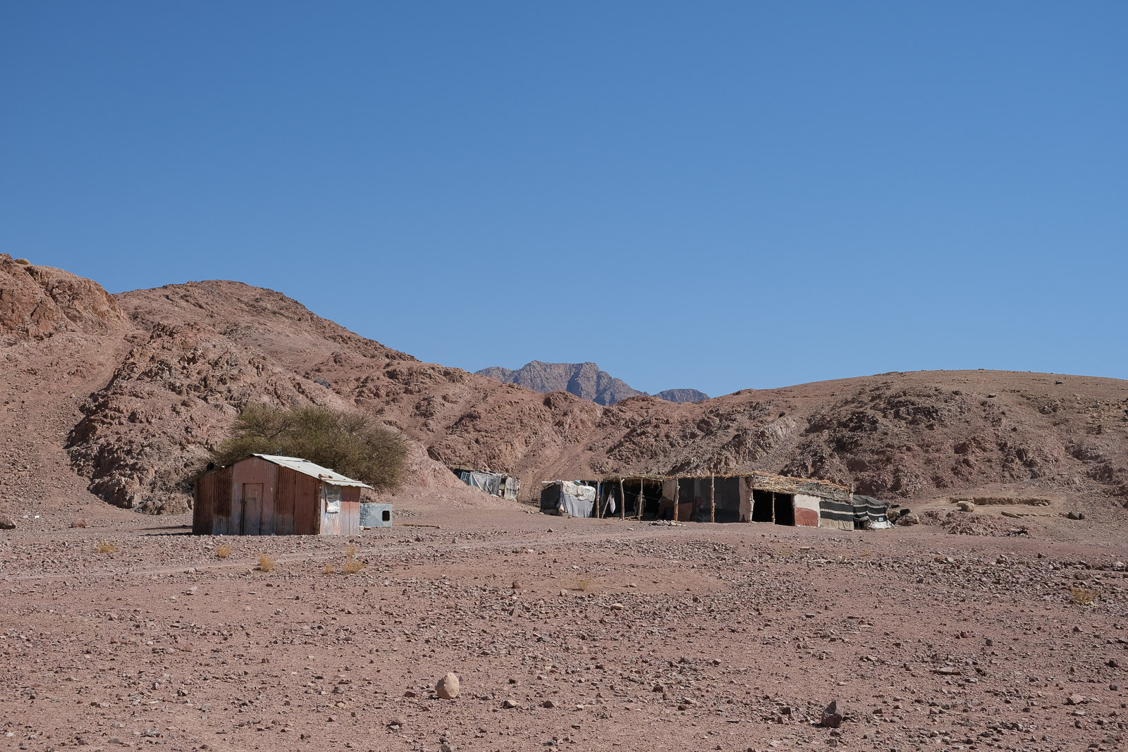 Bedouin tents