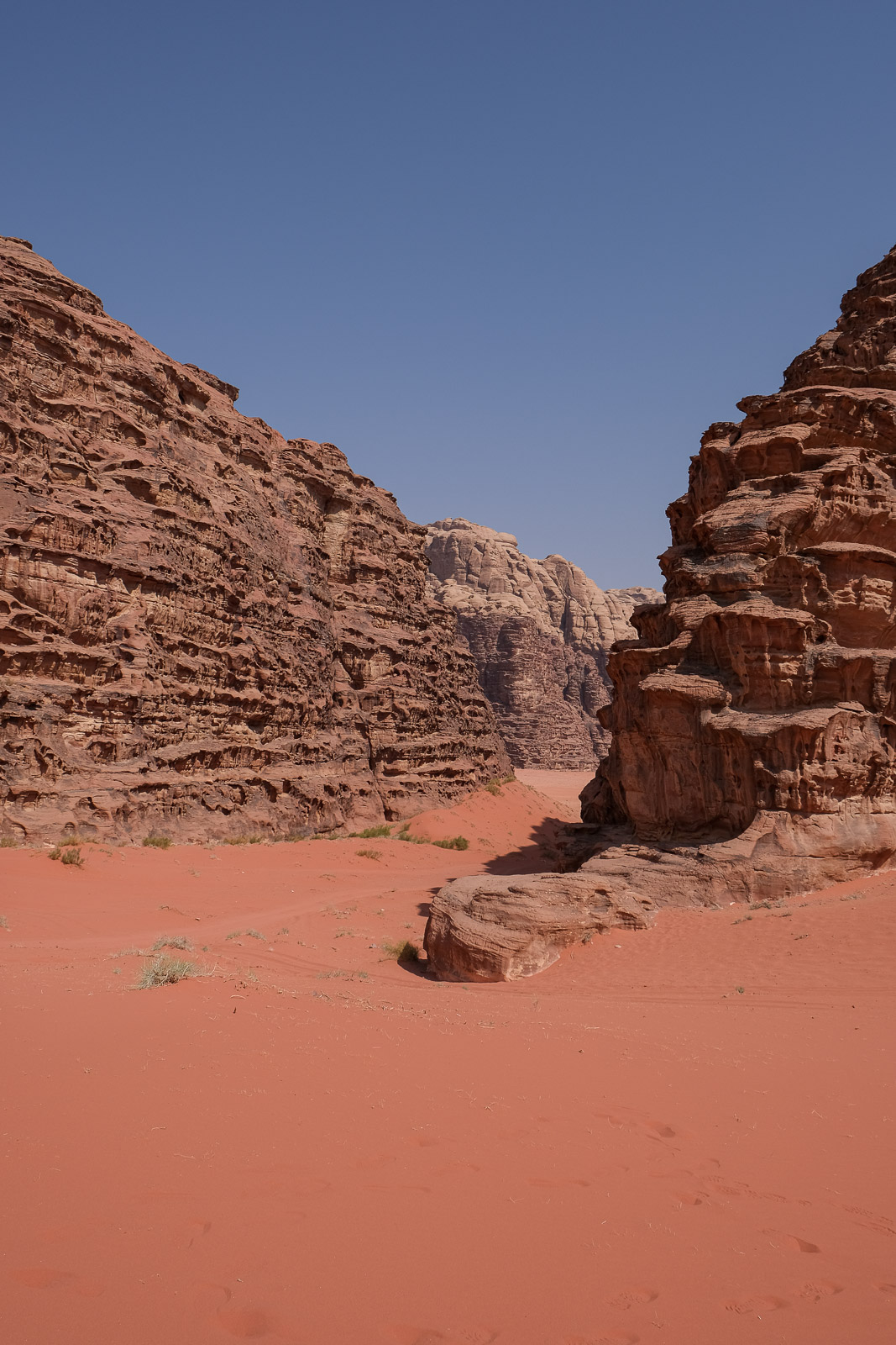 Red desert