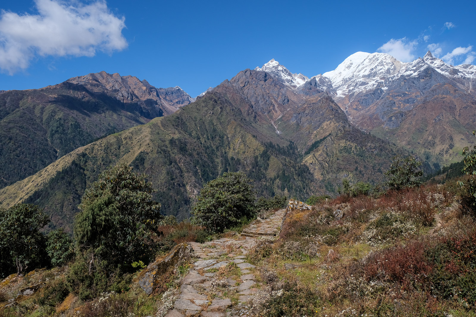 Path leading toward peak=