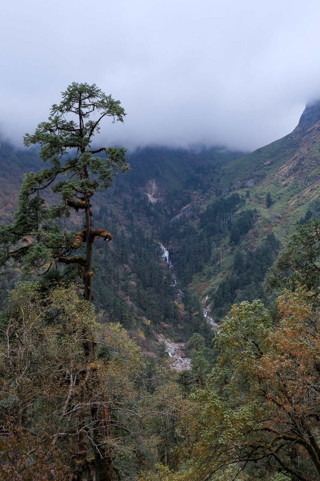 Misty valley=