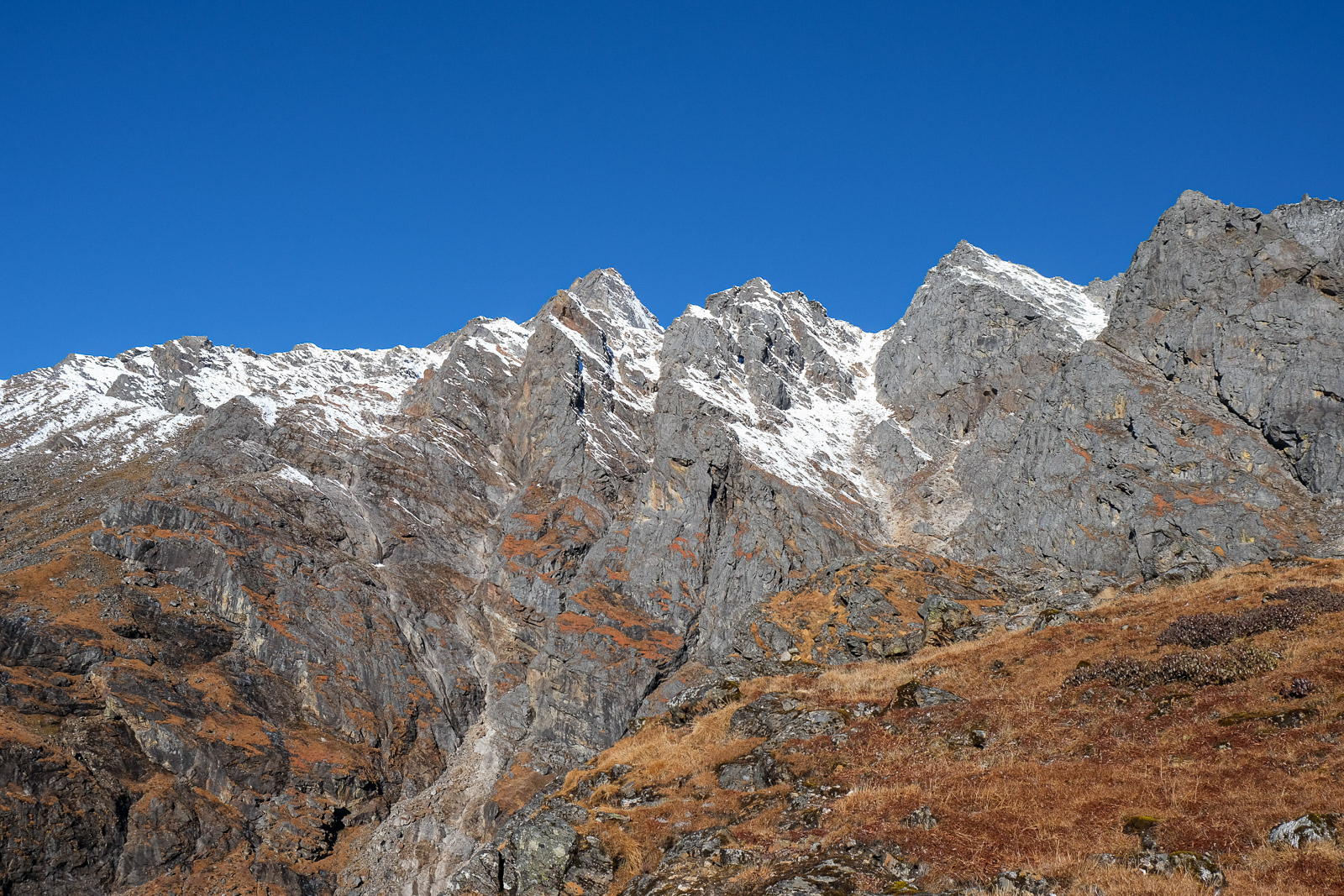 Orange peaks=