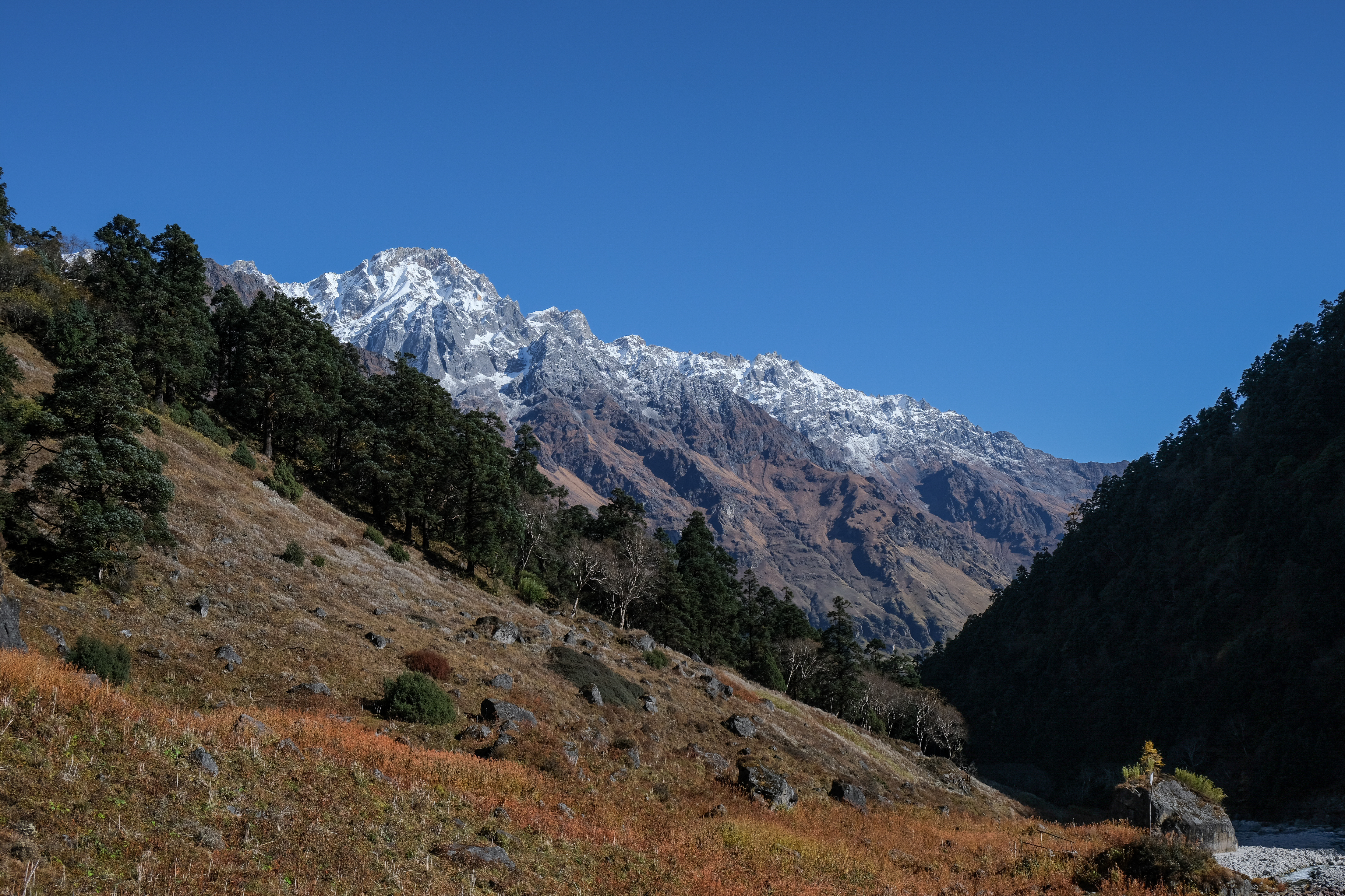 Mountain with orange foreground=
