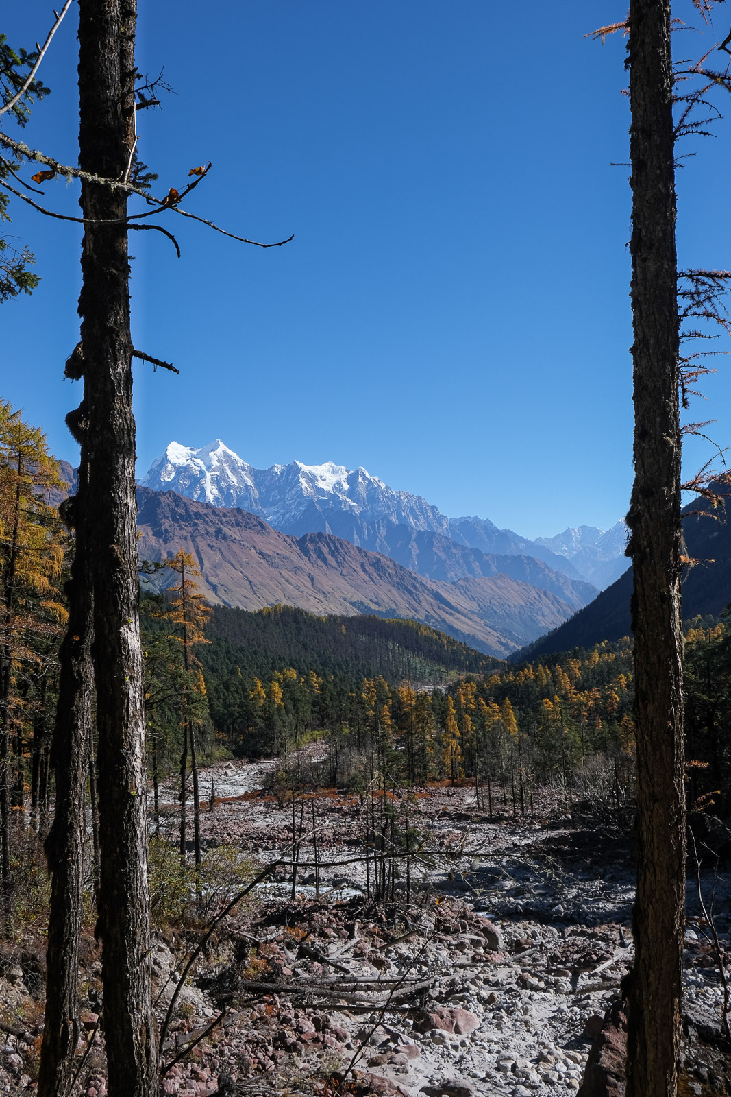 View framed by trees=