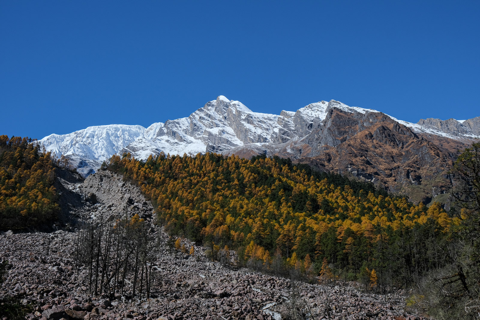 Mountains with larches 1=