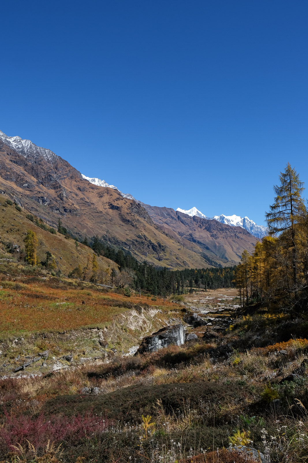 View down valley=