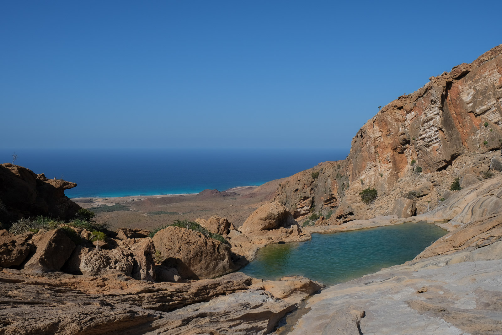 Homhil infinity pool=