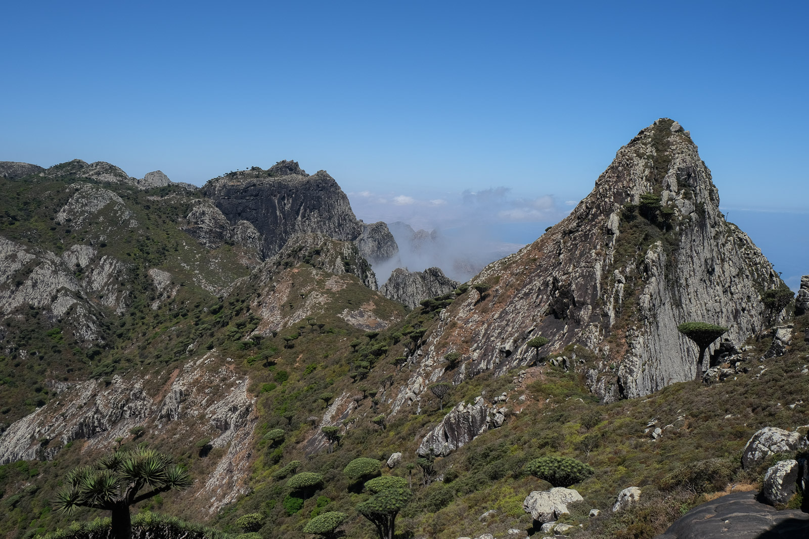 View from peak=