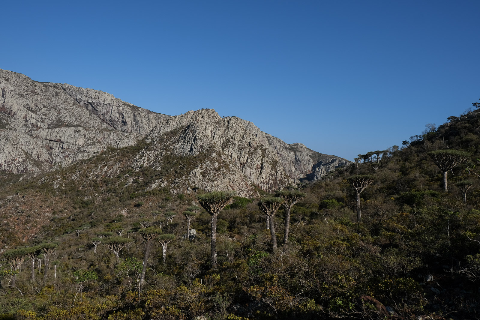 View cliff 2=