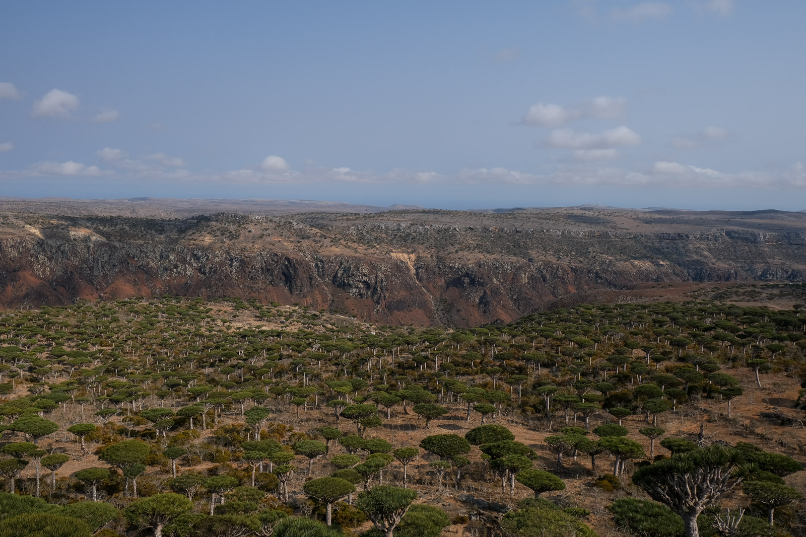 Firmihin viewpoint 1=