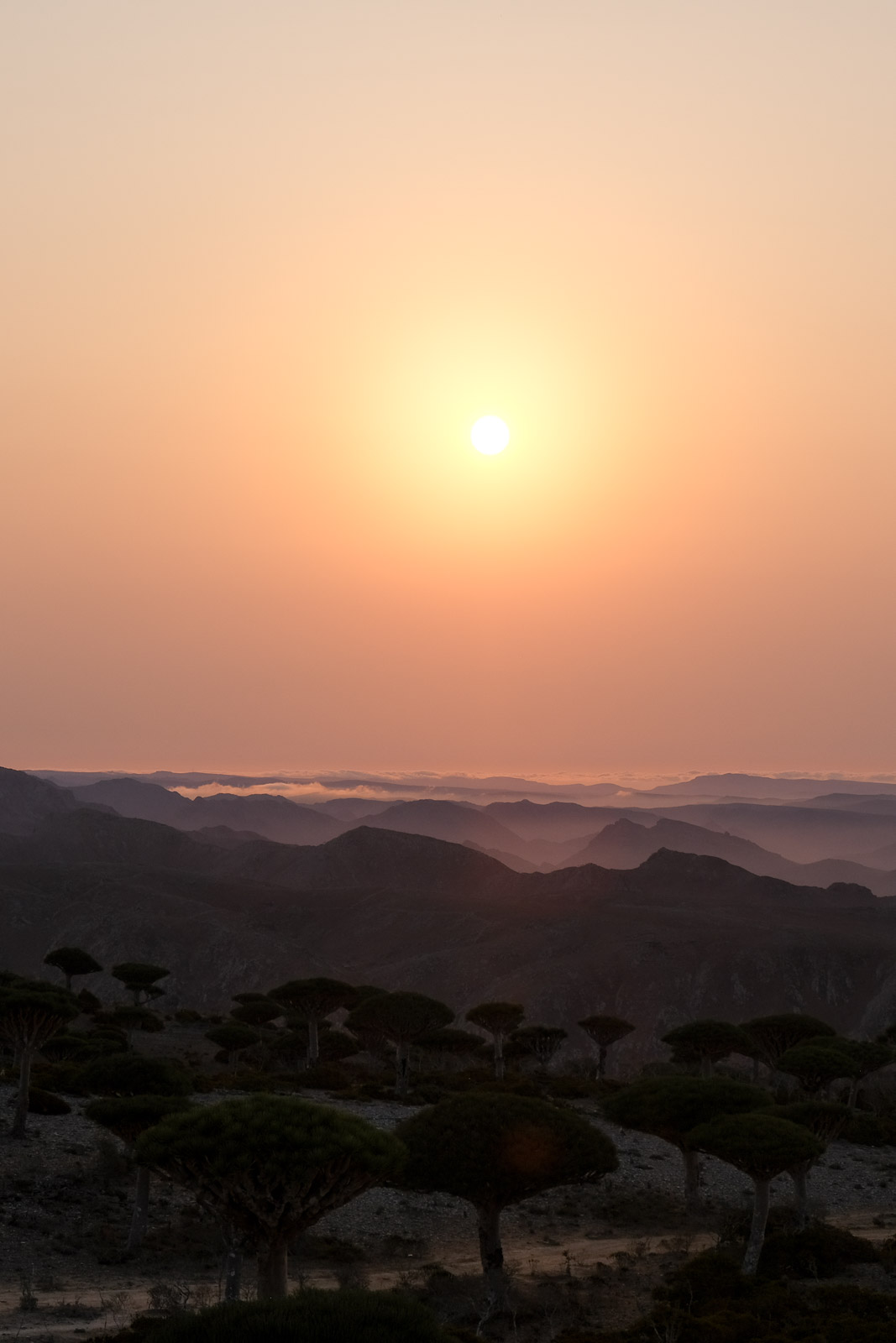 Sunrise=