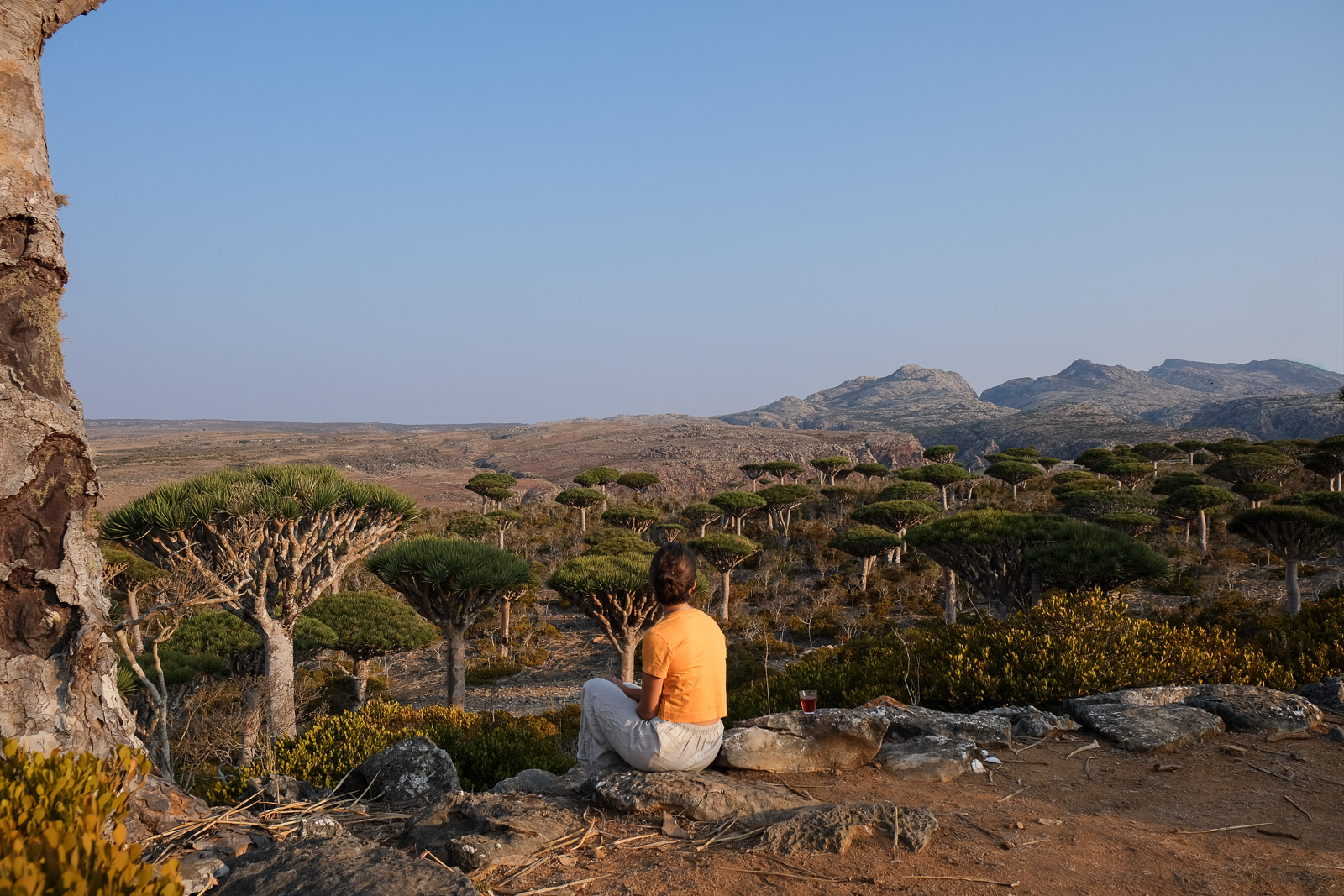 Campsite view=