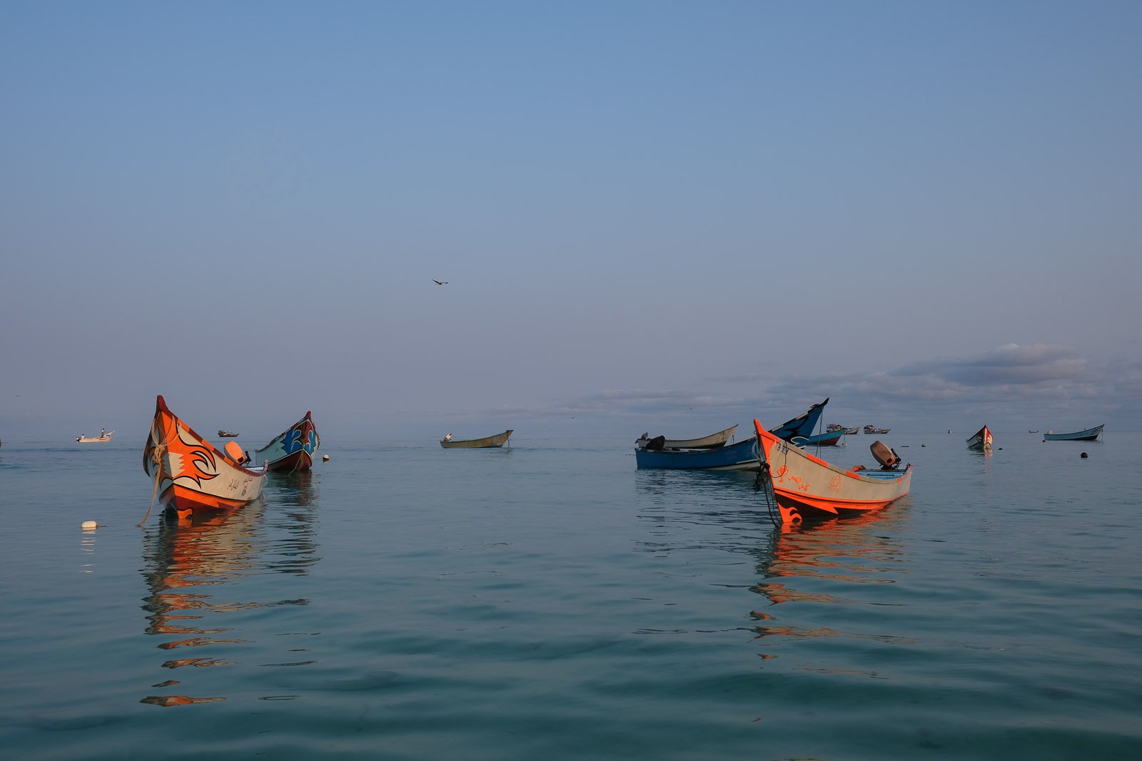Boats in the morning=