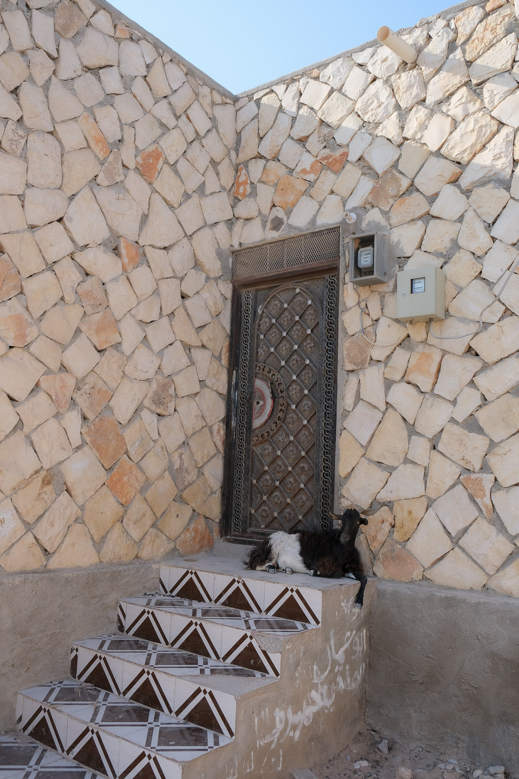 Goat door=