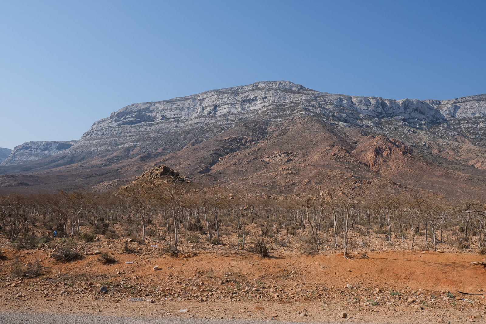 Mountain=