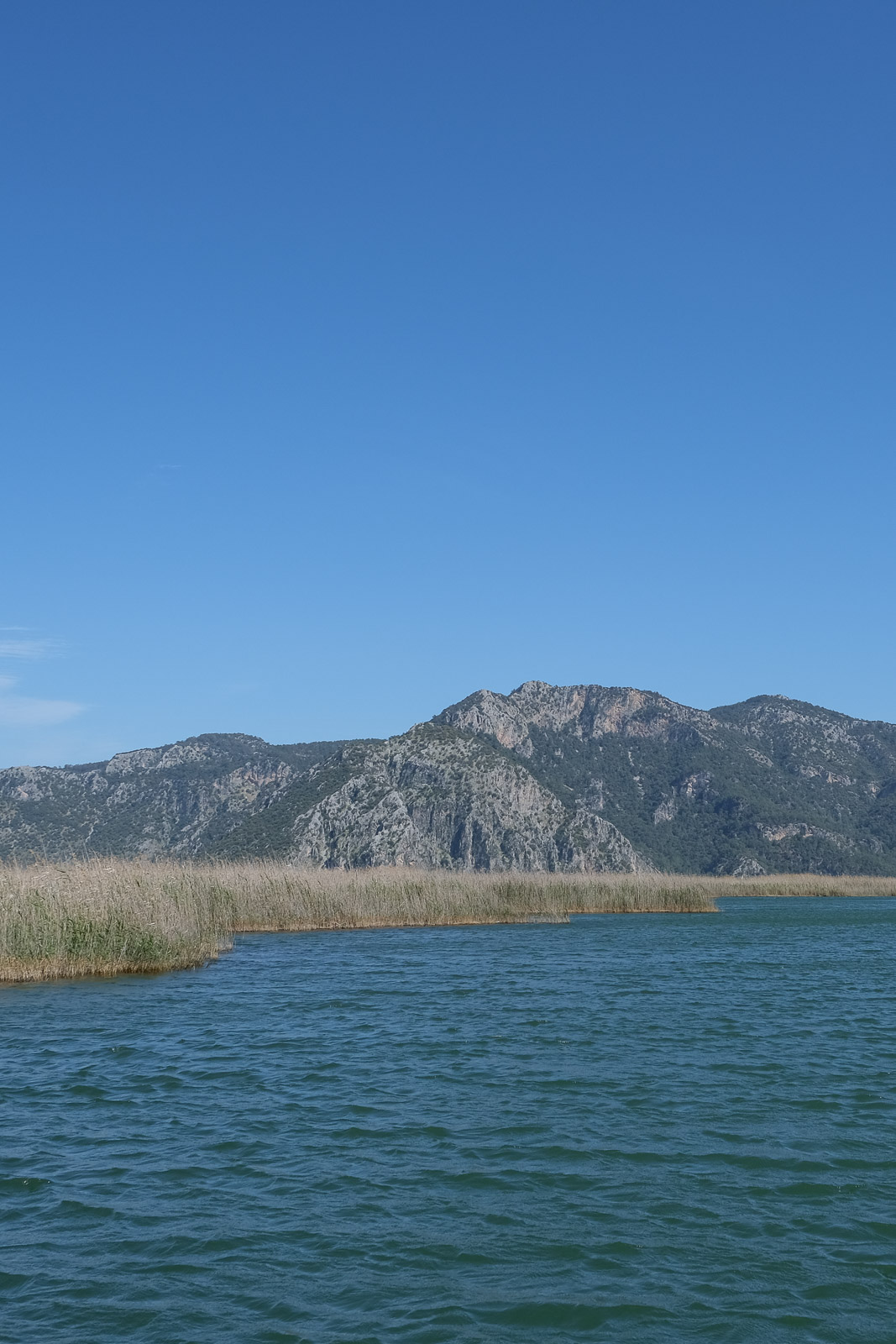 View from boat=