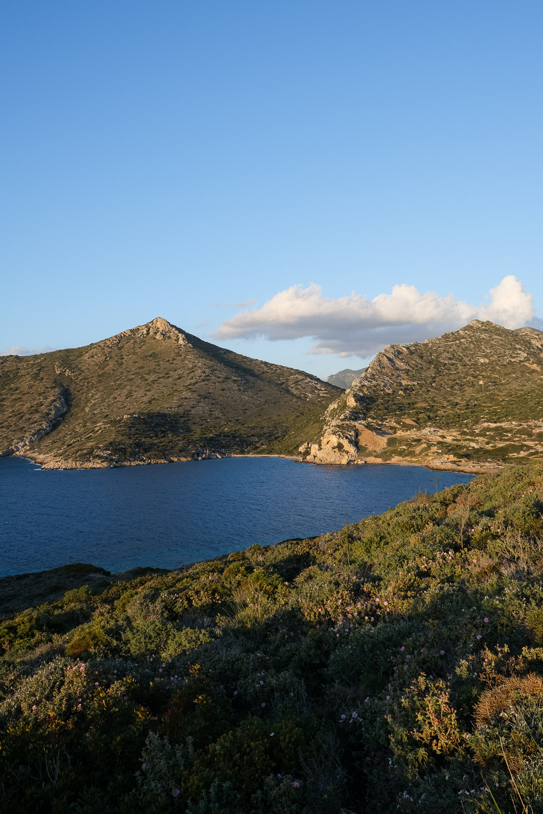 View of ruins from far=